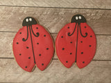 Ladybug